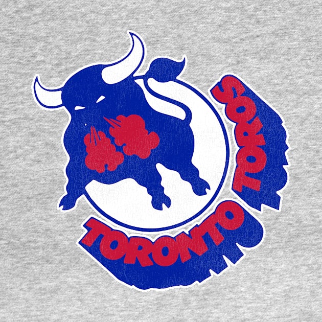 Defunct Toronto Toros Hockey Team by Defunctland